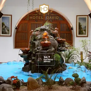Отель David